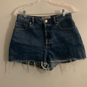 Everlane “the cheeky short”